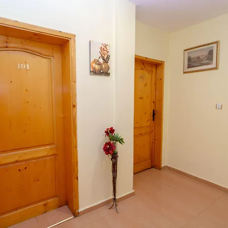 招待所 芬奈尔旅馆 3*